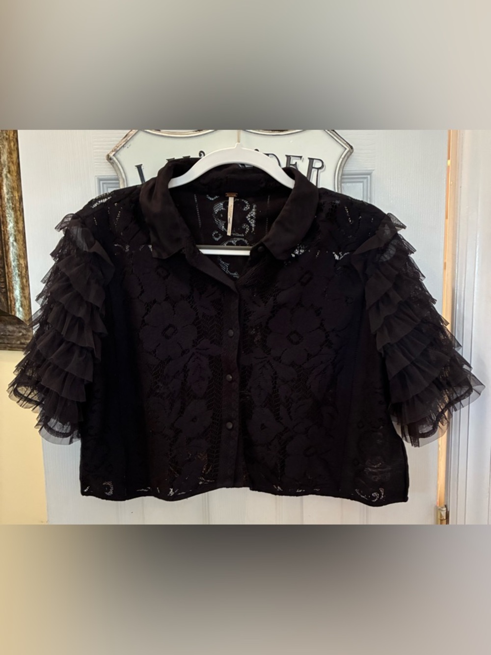 Free People, Madonna, Black Lace Sheer Ruffle Sleeve Cropped Top - Picture 2 of 13